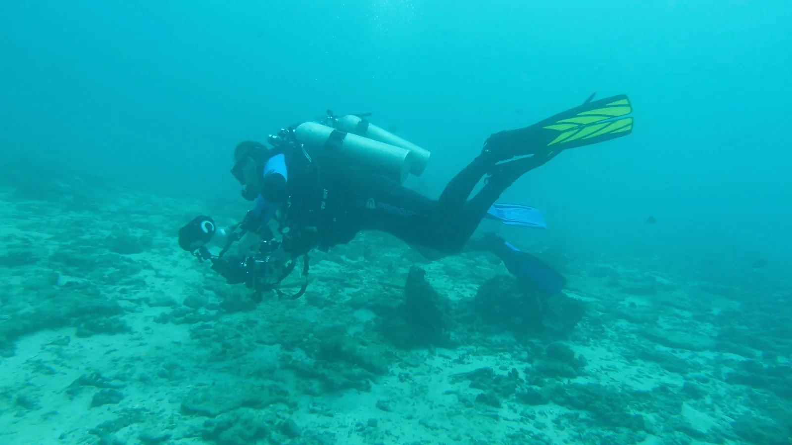 PADI Divemaster auf Bali