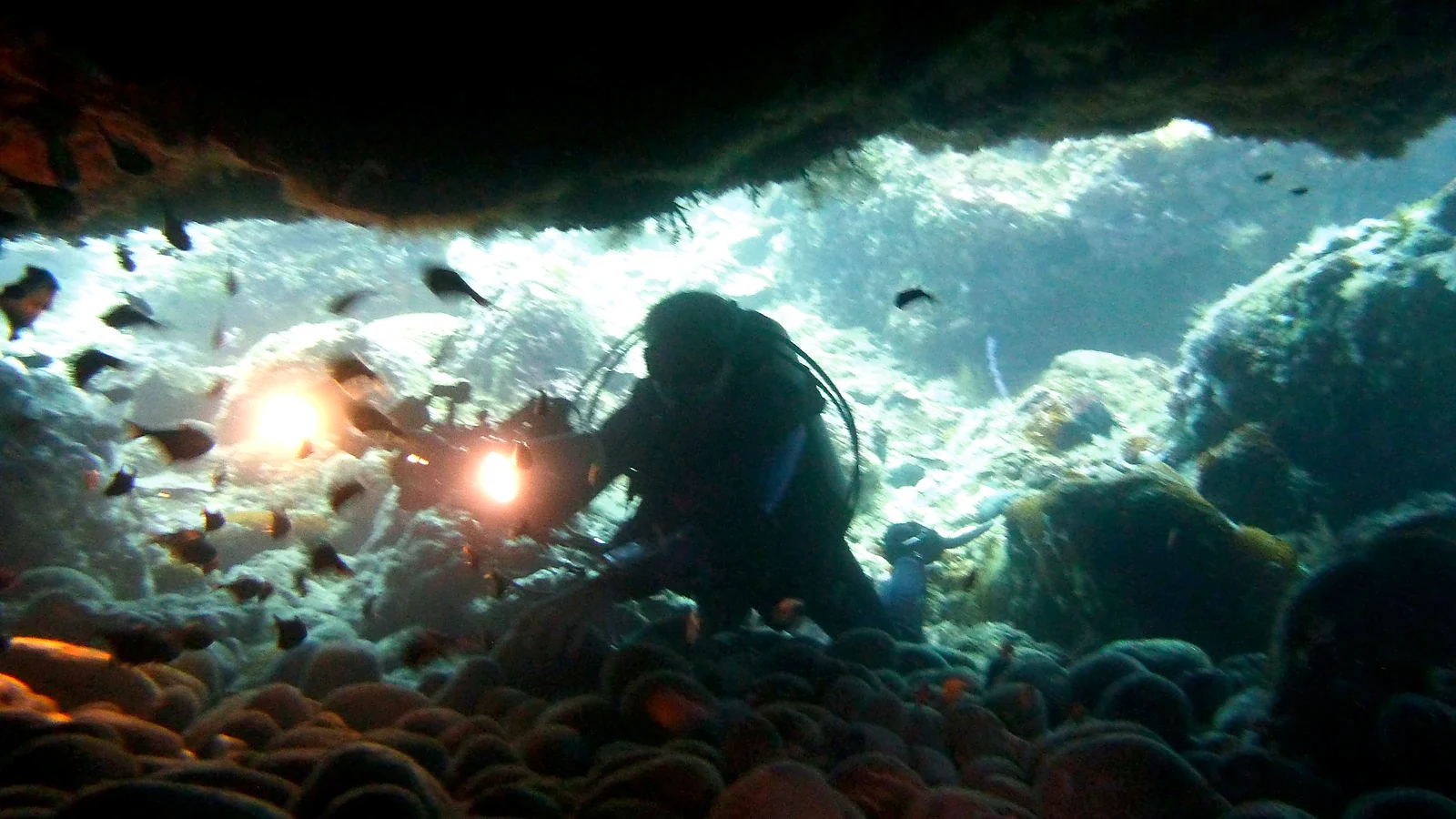 Titelbild zum Artikel: PADI Open Water Diver auf Bali: Dein kompletter Kursguide