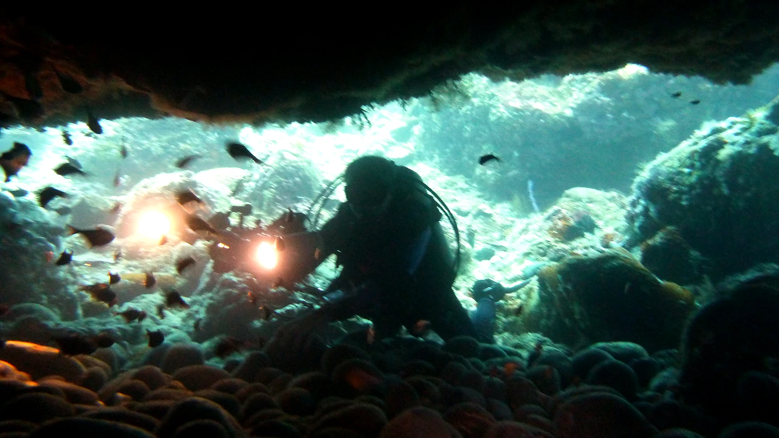 PADI Open Water Diver auf Bali: Dein kompletter Kursguide